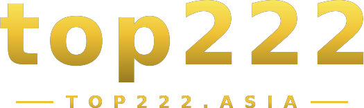 top222 logo